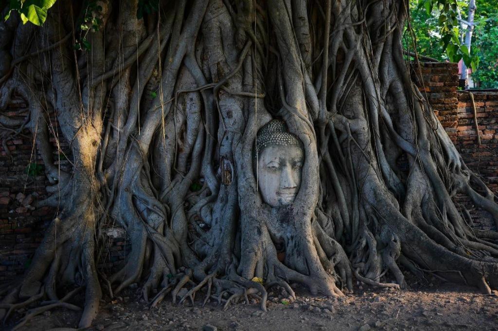Hotel Oyo 384 Ban Sabaidee Phra Nakhon Si Ayutthaya Esterno foto